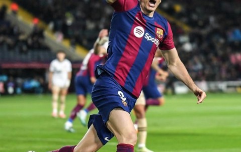 九游体育-莱万多夫斯基新星回归赛场表现惊艳，TL未来可期！的简单介绍